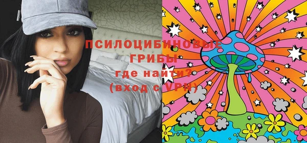 гидра Алексин