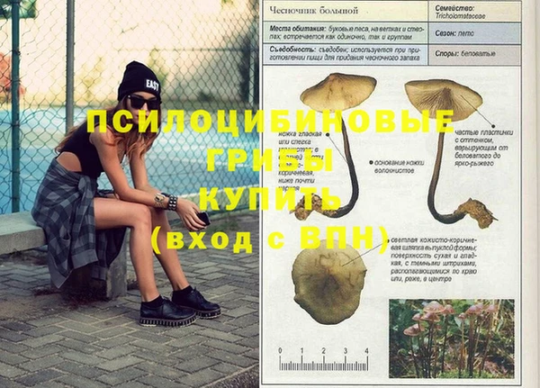 скорость Алексеевка