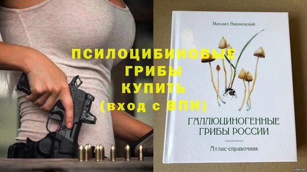 скорость Алексеевка